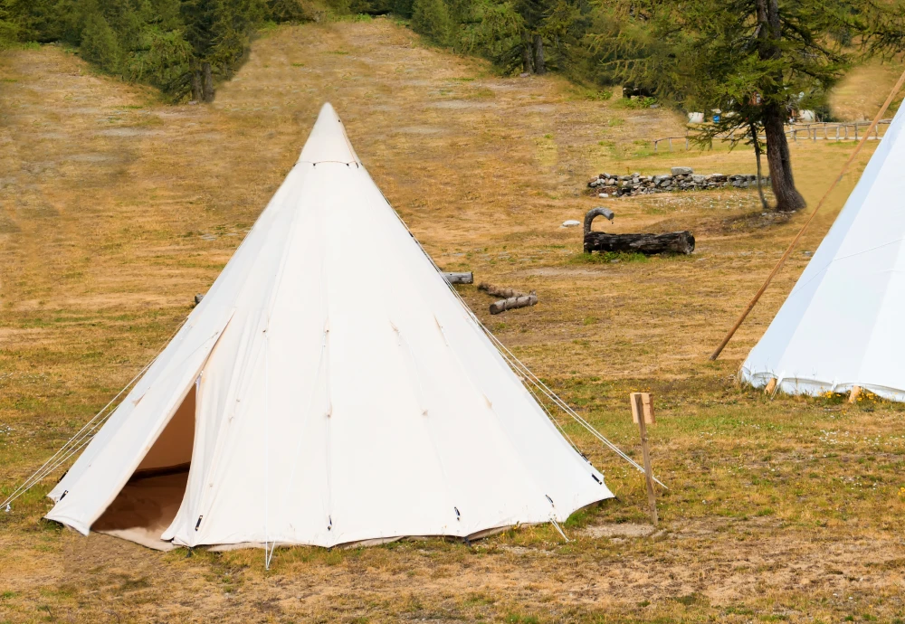 ultralight 2 person tent