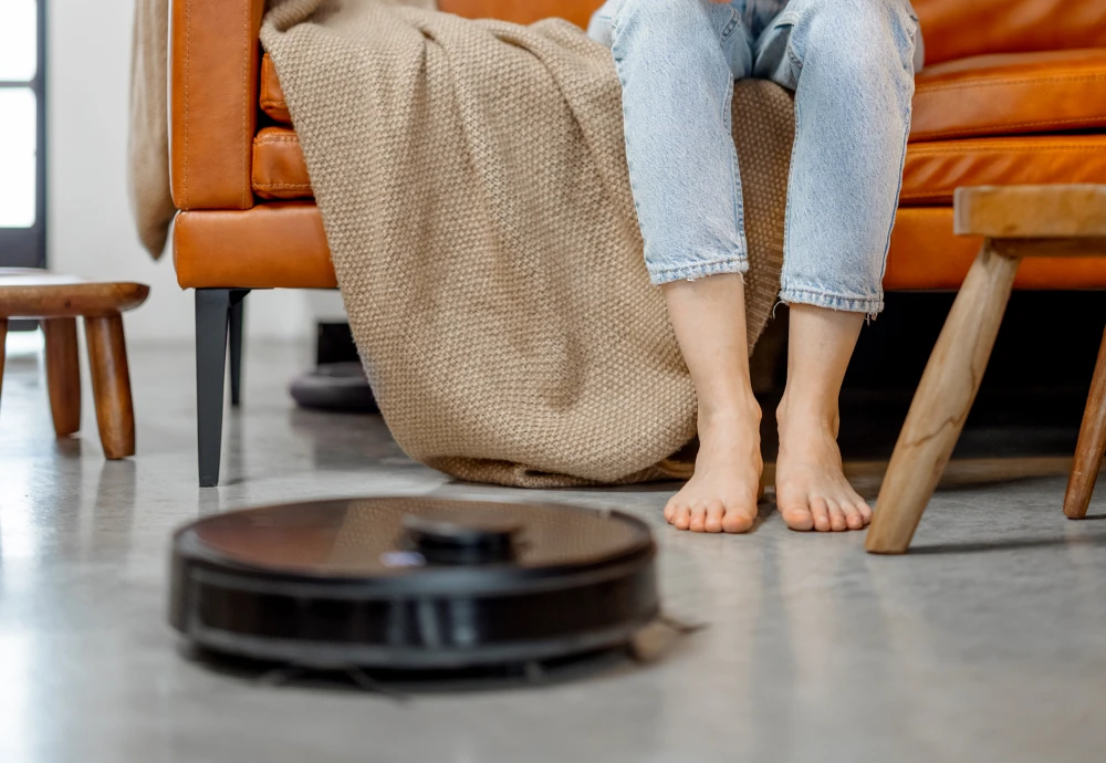 robotic vacuum cleaner pet hair